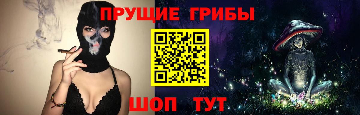 Псилоцибиновые грибы мицелий Кыштым